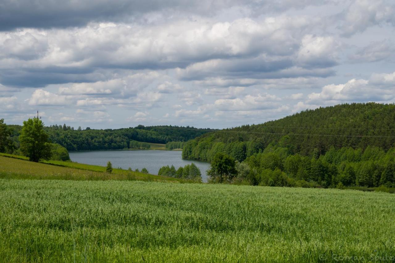 Вилла Kaszubska Odskocznia Ostoja Bukowo Borowy Mlyn Экстерьер фото